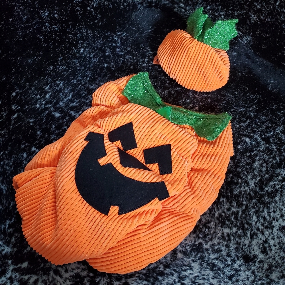 Dog Pumpkin Costume